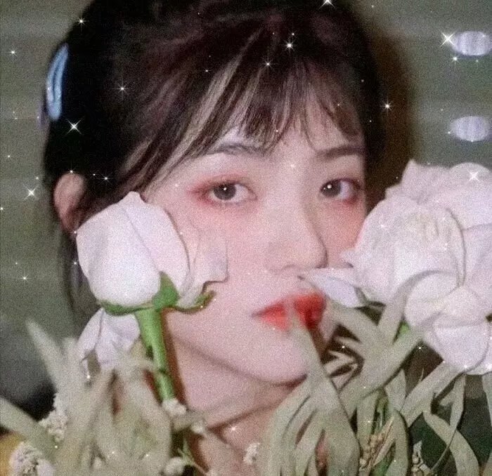 绽放青春 在线观看